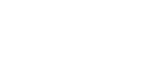 LOGO_PICSIL